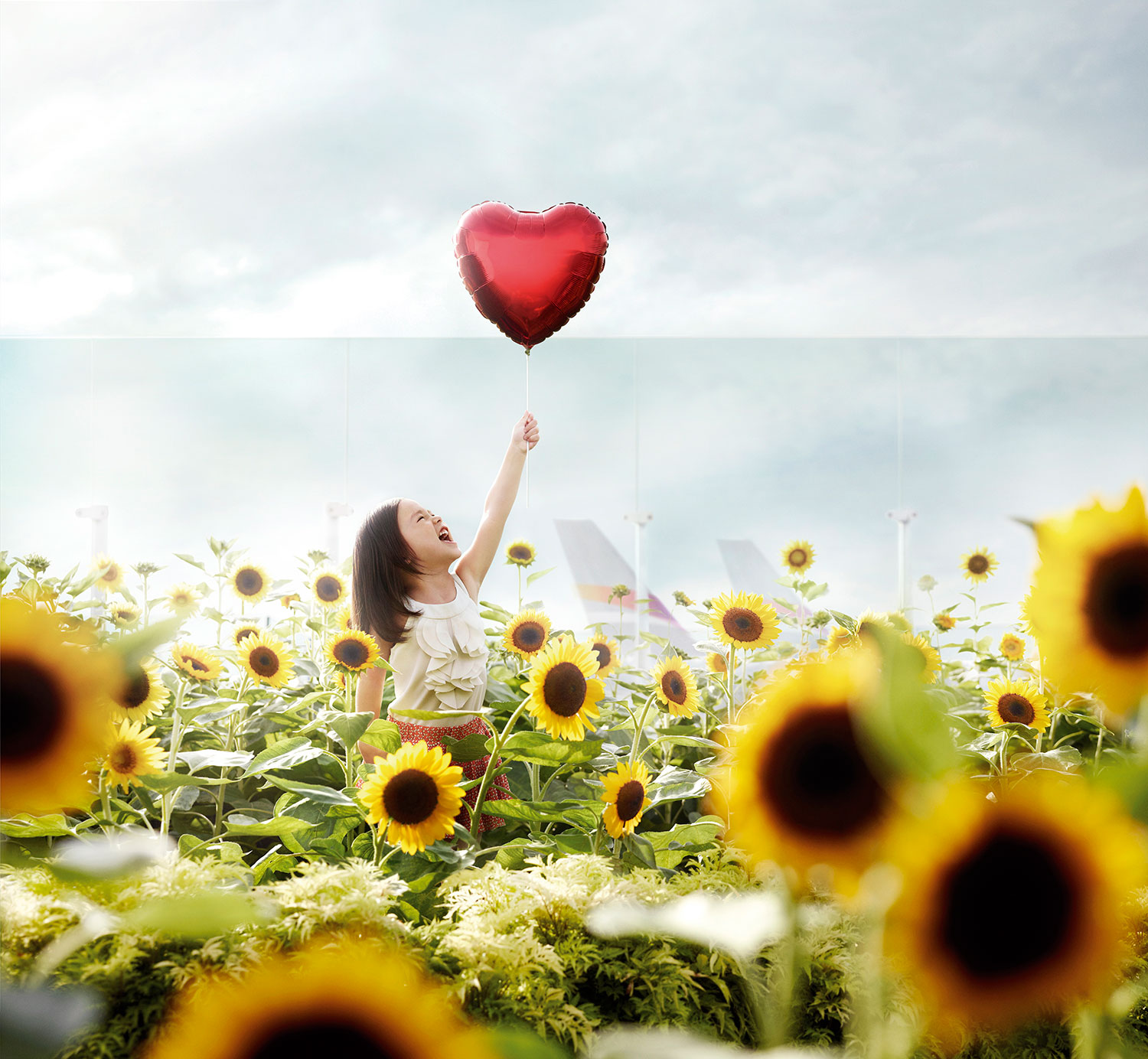 CAG-Sunflower_final